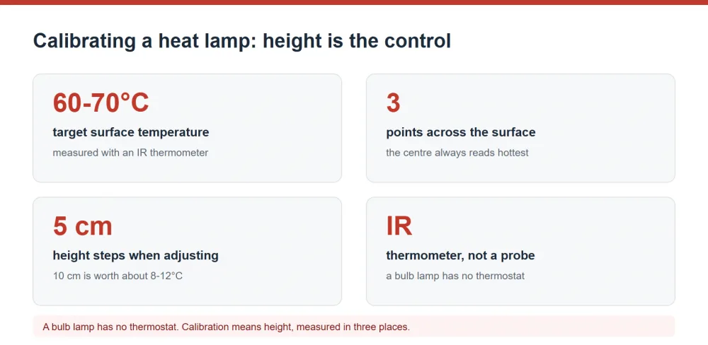 Calibrating a heat lamp by height measurement and IR thermometer