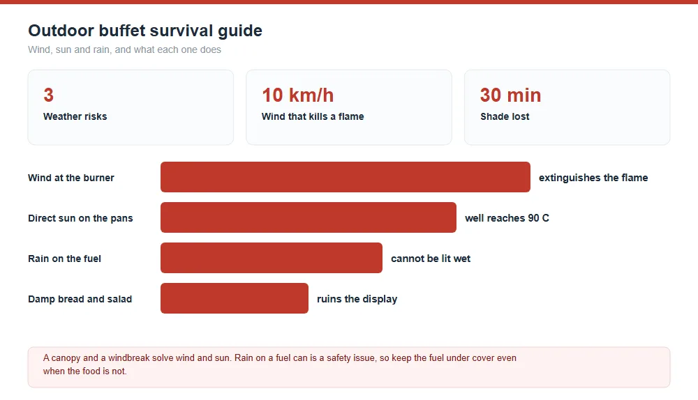 Outdoor Buffet Survival Guide